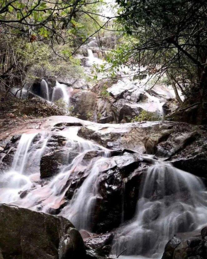未来地球上的氧气会被消耗殆尽吗？