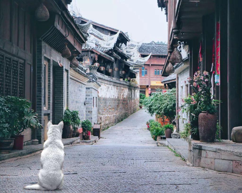 单间木屋逃脱